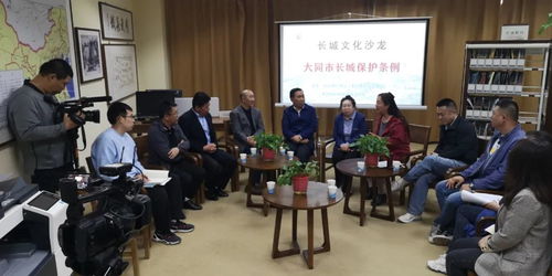 大同長城保護條例 文化沙龍第三期共獻良策，藝術(shù)活動策劃為保護賦能